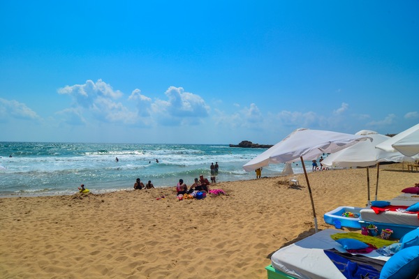 Edde Sands On Sunday